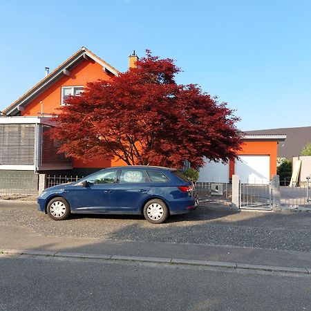 Sonnige Ferienwohnung Bei Familie Koehler Kappel-Grafenhausen Zewnętrze zdjęcie